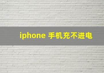 iphone 手机充不进电